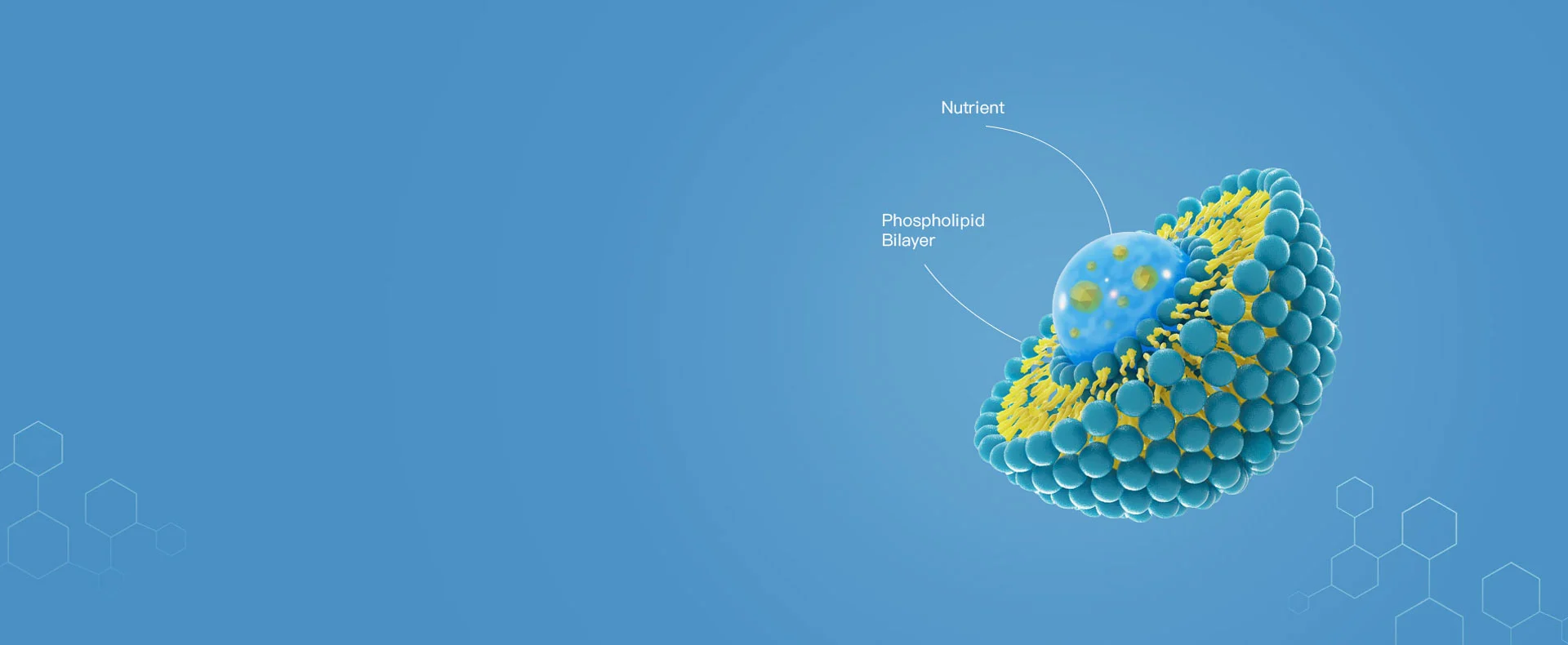 Технология липосом с совместной загрузкой в природном поле