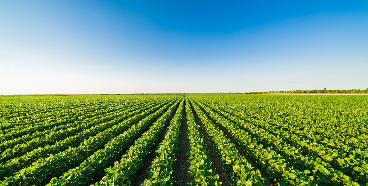 Более высокие требования к качеству