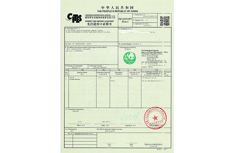 История естественного поля