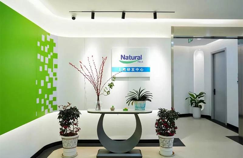 История естественного поля