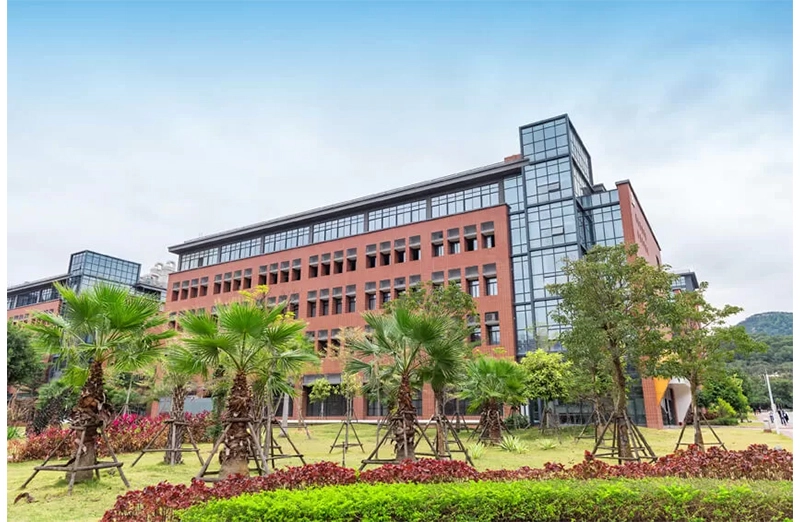 История естественного поля