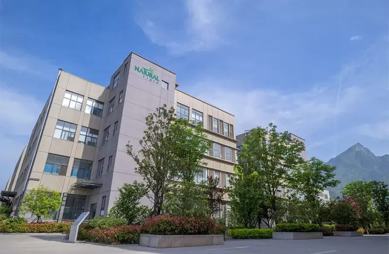 История естественного поля