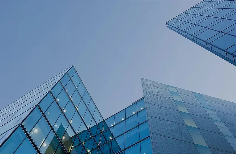 История естественного поля