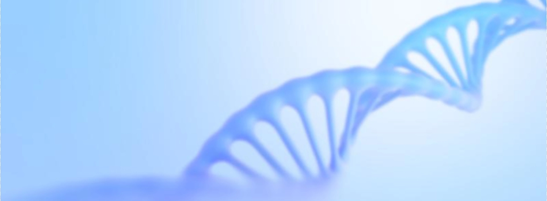 Натуральное поле добавки ингредиенты оптом