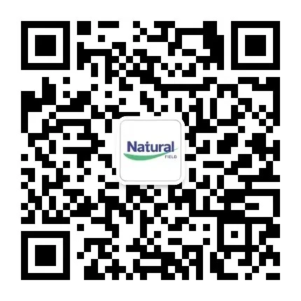 Контакт Нас