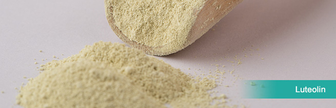 liposomal glutathione powder