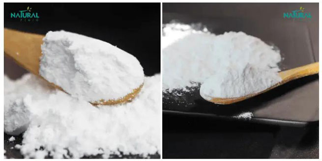 fenugreek seed extract powder