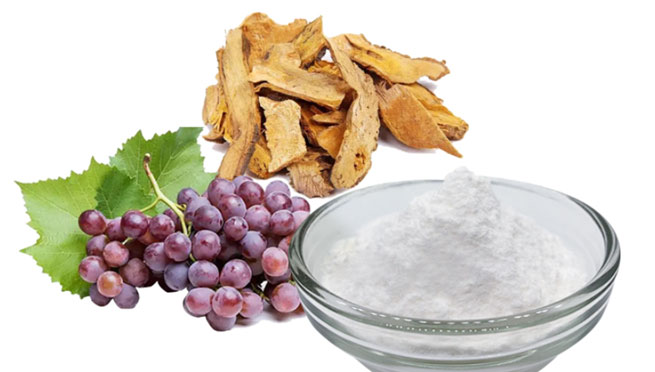 fenugreek seed extracts and ashwagandha root and root leaf extracts