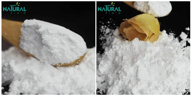 pumpkin seed extract supplement