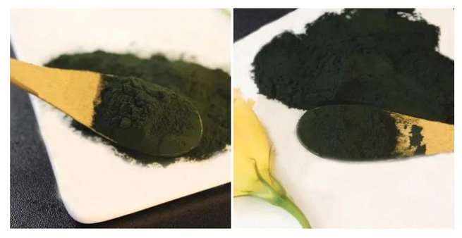 pumpkin seed extract 