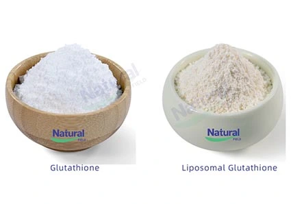 Преимущества и использование Тауроурсодеоксихолевой кислоты (tudca)