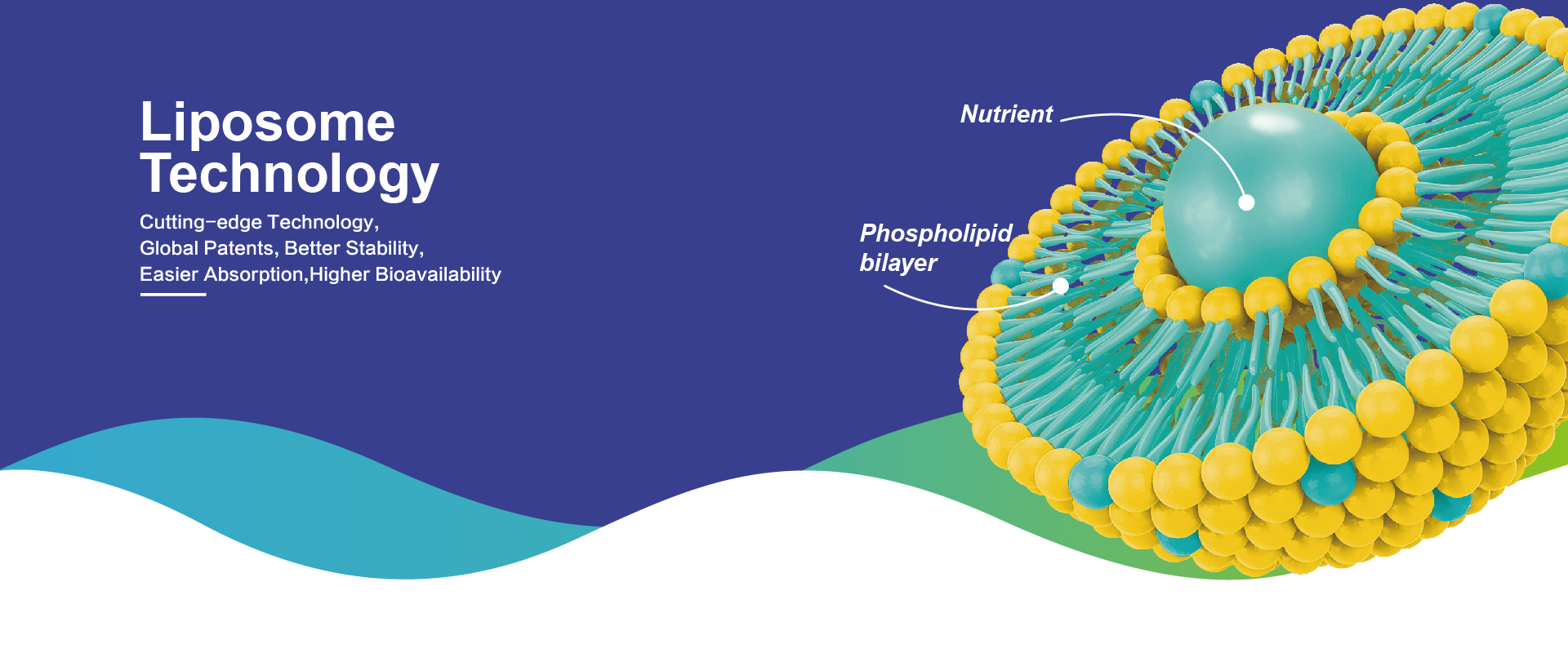 Продукты липосомы естественного поля