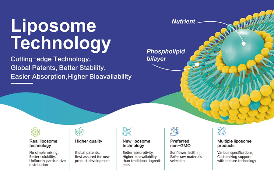 Что такое липосома?