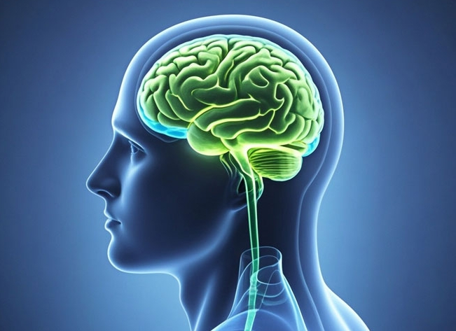 Промежуточное сырье цитозина: краеугольный камень фармацевтических инноваций и движущая сила здорового