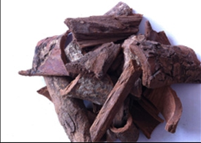 Чудесное применение экстракта африканской сливы в области здоровья