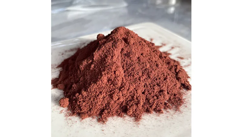 Экстракт виноградных косточек OPC95 %