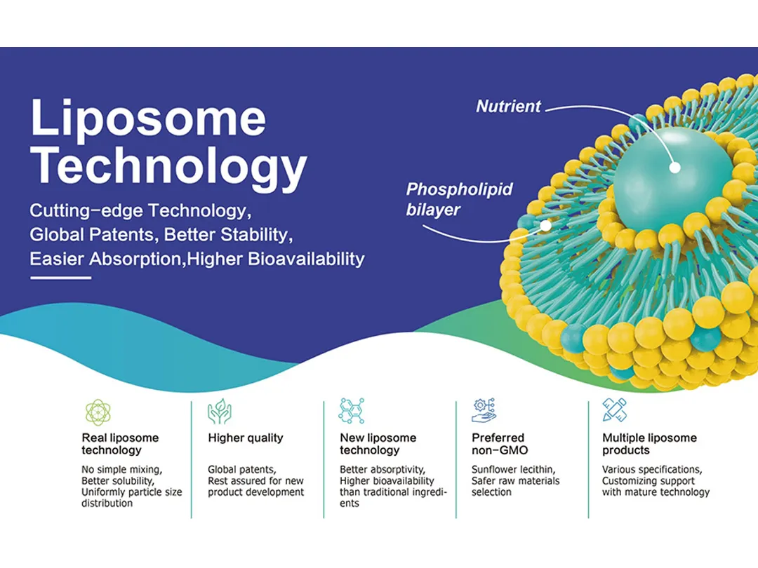 Рост рынка липосомного питания! Революция скорости поглощения перекраивается на глобальный ландшафт здорового питания