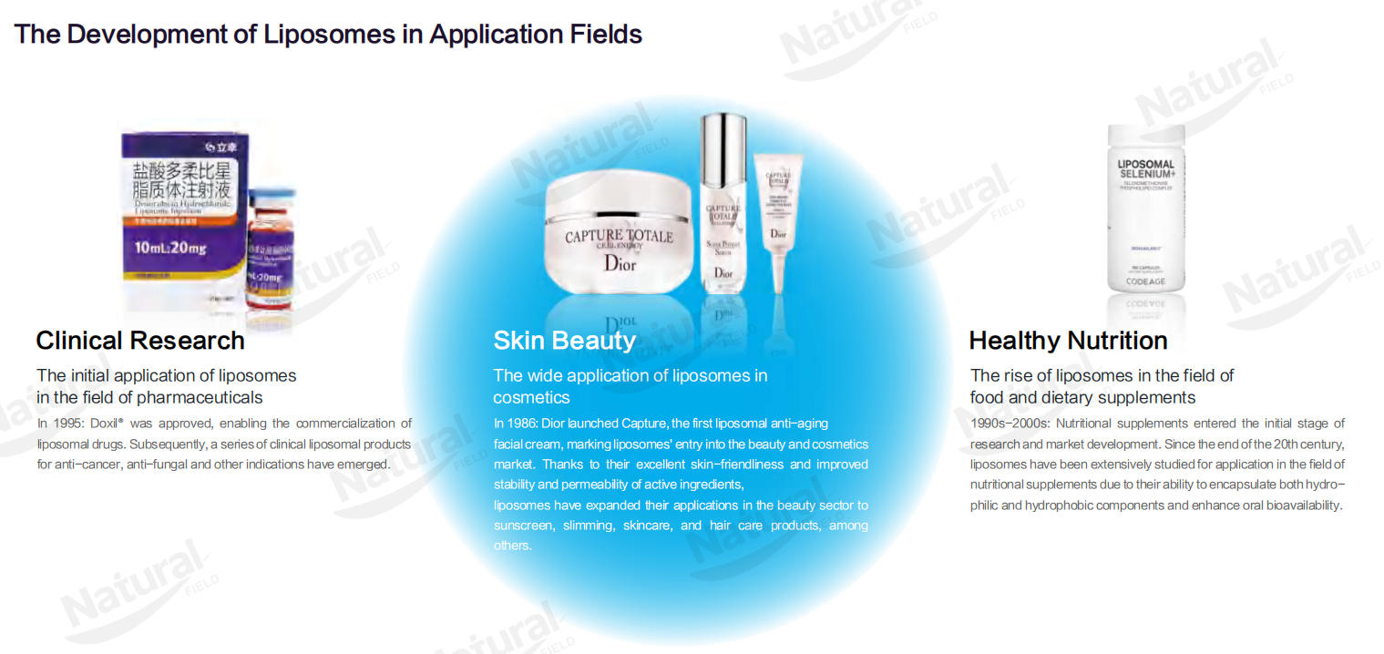 The_Development_of_Liposomes_in_Application_Fields.jpg