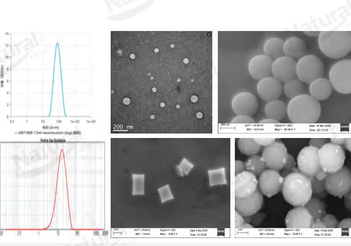 Как отличить подлинность липосом?