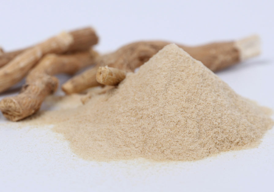Ashwagandha_Extract_Supplier.jpg