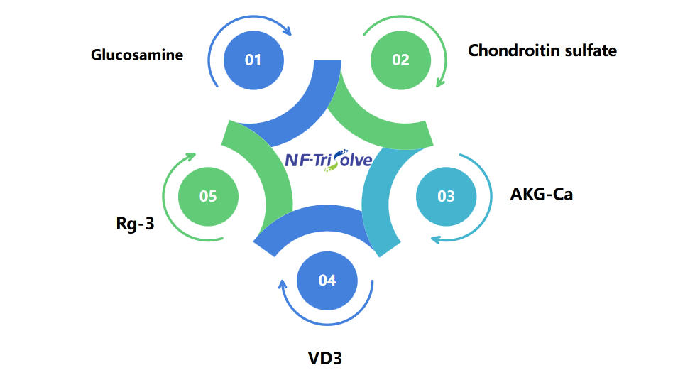 NF_TrisolveJoint_Mobility_solution.jpg NF_TrisolveJoint_Mobility_solution.jpg